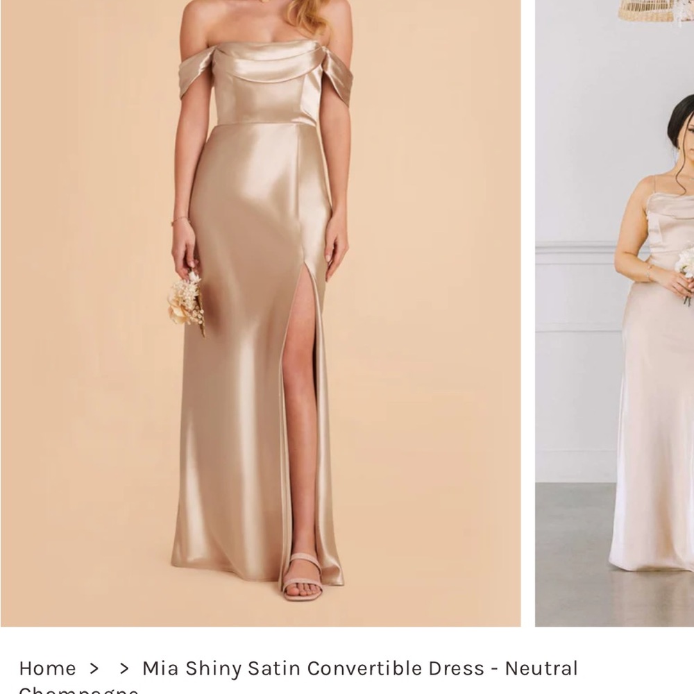 Birdy Grey Shiny Satin Neutral Champagne Mia Convertible Dress Size Small